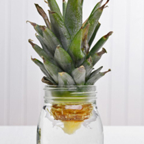 Tropenfrüchte auf der Fensterbank