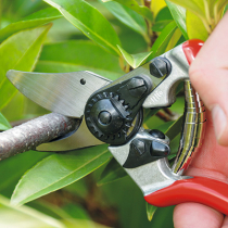 Gartenscheren in Profiqualität Gartenscheren in Profiqualität