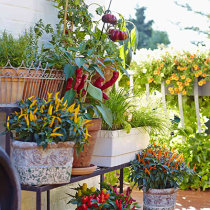 Reiche Ernte auf natürliche Art