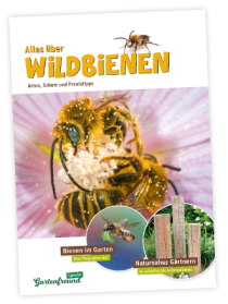 „Gartenfreund Spezial“: Wildbienen