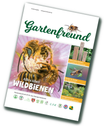 Wildbienen