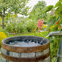 Gartenbewässerung