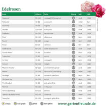 Rosen für den Garten