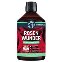 Gesunde Rosen durch Mikroorganismen Gesunde Rosen durch Mikroorganismen