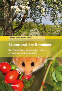 Lebensraum Baum