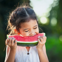 Wassermelonen aus dem Garten