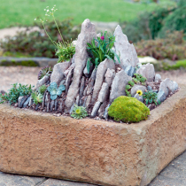 Alpines Flair im Garten