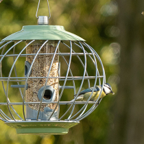 Vogelfutter schützen