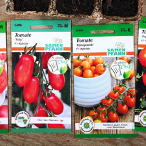 Geschmacksexplosion im Tomatengarten