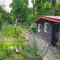 Ideenwettbewerb für naturnahe Kleingärten