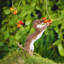 Marder und Co. im Garten