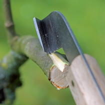Was liegt an im Obstgarten? Was liegt an im Obstgarten?