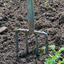 Was liegt an im Gemüsegarten? Was liegt an im Gemüsegarten?