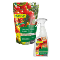 Pflege für Tomatenpflanzen