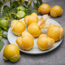 Neues Gemüse