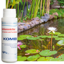 Frühjahrsputz für den Gartenteich