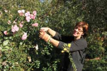 Gartenarbeit fördert die Gesundheit