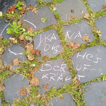 #Krautschau