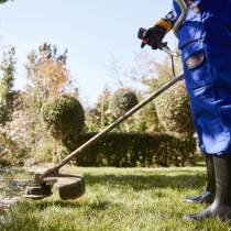 Bereit für die Gartensaison? So wird der Außenbereich zur grünen Oase Bereit für die Gartensaison? So wird der Außenbereich zur grünen Oase