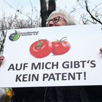 Proteste gegen Pflanzenpatente