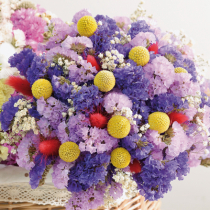 Zauberhafte Trockenblumen