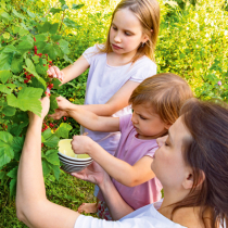 Kinder zum Blühen bringen