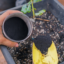 Gartenwissen: Huminsäuren
