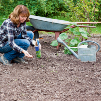 Wellness für leere Beete Wellness für leere Beete