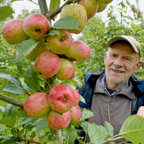 Neues Leben für altes Obst