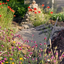 Nützlinge in den Garten locken
