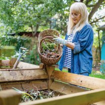 Gartenwissen: C/N-Verhältnis Gartenwissen: C/N-Verhältnis