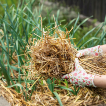 Gartentipp: Hochbeet winterfest machen
