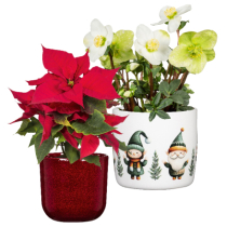 Übertöpfe für die Weihnachtszeit Übertöpfe für die Weihnachtszeit