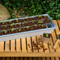 Anzuchtkästen aus Ton oder Zink Anzuchtkästen aus Ton oder Zink