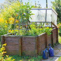 Von Hoch- bis Kraterbeet