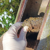 Vogelnistkästen reinigen