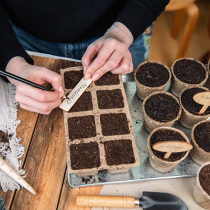 Neues Jahr, neues Gemüse