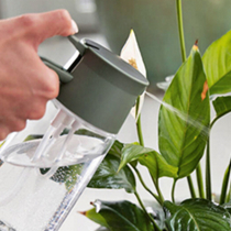 Auf kleinem Raum kann Großes wachsen Auf kleinem Raum kann Großes wachsen