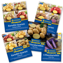 Schmackhaft und widerstandsfähig Schmackhaft und widerstandsfähig