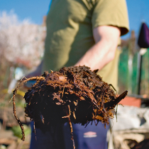 Frühjahrskur für den Kompost