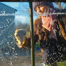 Mein Gartentipp: Für Licht sorgen