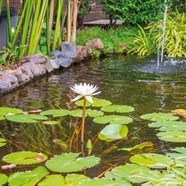 Entspannt in die Teichsaison starten