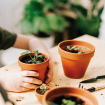 Zurück zum gärtnerischen Handwerk