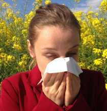 Allergiker: Die Zeit im Garten trotzdem genießen
