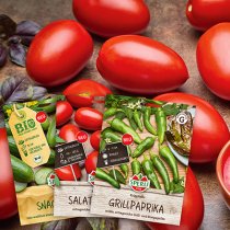 Von Grillpaprika bis Salat-Tomate