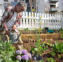 So bringst du mehr Atmosphäre und Leben in deinen Garten