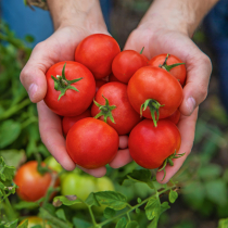Gartentipp: Sommerarbeiten