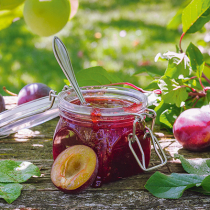 Obstschätze haltbar machen