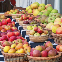Gartentipp: Obstsorten bestimmen