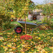 Gartentipp: Herbstarbeiten